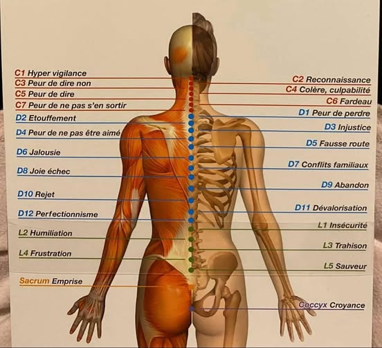 Symbolique - que se cache-t-il derrière nos douleurs ?
